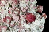 Raspberry Garnets (Rosolite) in Matrix - Mexico #168347-1